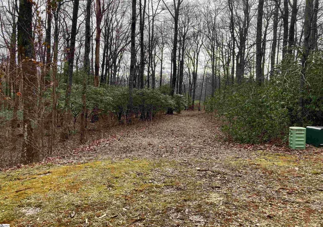 5th image of 238 Snap Dragon Way, Landrum, SC 29356 | MLS# 1516690