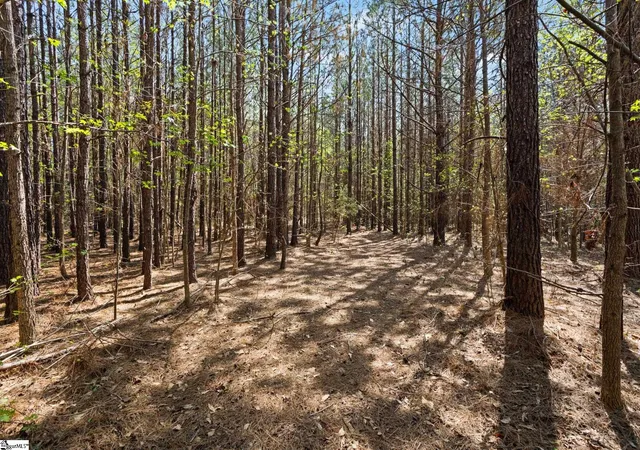 5th image of 00 Todd Rd, Gray Court, SC 29645 | MLS# 1586672