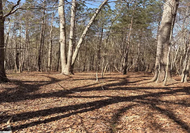 Photo 2 of Land for sale at 00 Elizabeth St, Clinton, SC 29325 | MLS# 1575422 | Listing updated on 2026-05-18