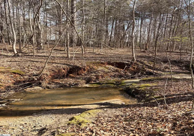 Photo 3 of Land for sale at 00 Elizabeth St, Clinton, SC 29325 | MLS# 1575422 | Listing updated on 2026-05-18