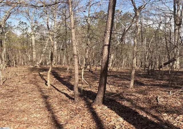 Photo 4 of House for sale at 00 Elizabeth St, Clinton, SC 29325 | MLS# 1575422 | Listing updated on 2026-05-18