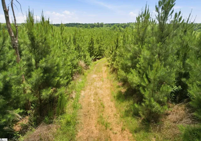 Photo 3 of Land for sale at 839 Duncan Creek Church Rd, Laurens, SC 29360 | MLS# 1595943 | Listing updated on 2026-06-25