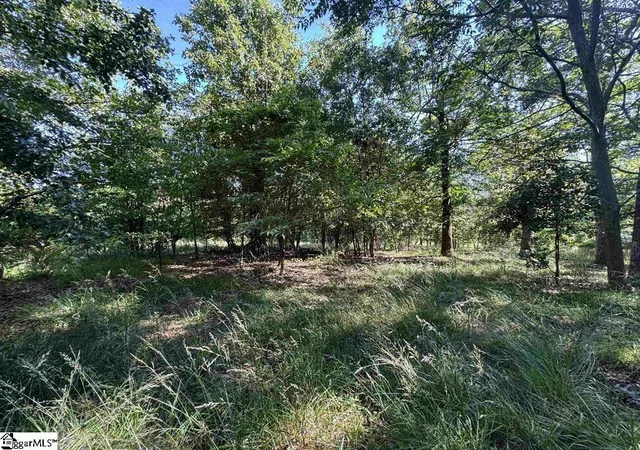 Photo 3 of Land for sale at (Undisclosed), Liberty, SC 29657 | MLS# 1595761 | Listing updated on 2026-08-11
