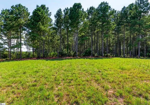 Photo 4 of House for sale at 00 Todd Rd, Honea Path, SC 29654 | MLS# 1601439 | Listing updated on 2026-08-24
