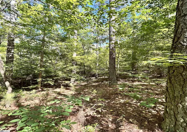 Photo 3 of Land for sale at 012 Sc - 413 Hwy, Anderson, SC 29621 | MLS# 1595658 | Listing updated on 2026-09-02