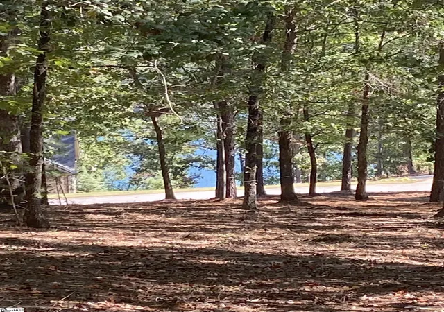 Photo 1 of Sale Pending at 335 Long Cove Trl, Salem, SC 29676 | MLS# 1547002 | Listing updated on 2026-01-02