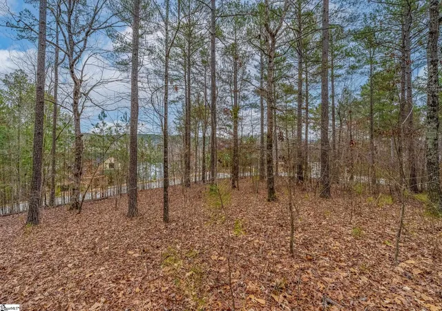 Photo 2 of Sale Pending at 335 Long Cove Trl, Salem, SC 29676 | MLS# 1547002 | Listing updated on 2026-01-02