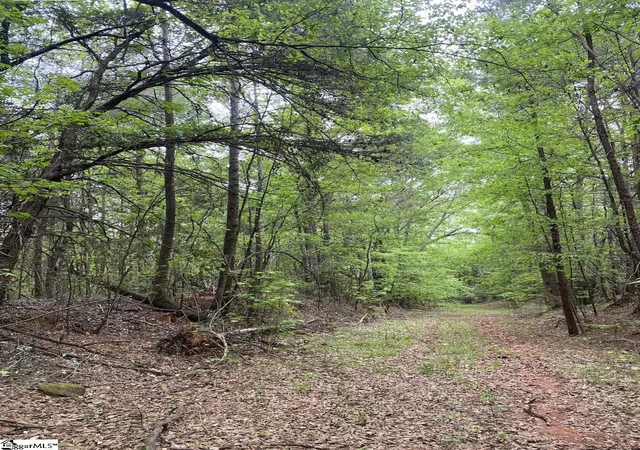 3rd image of 0 Wingo Rd, Wellford, SC 29385 | MLS# 1551484