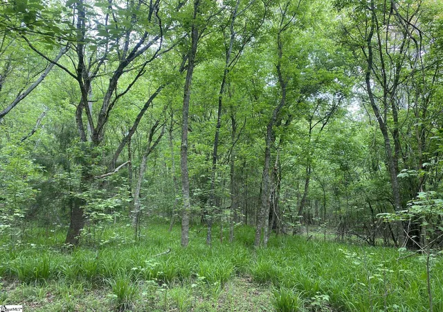 4th image of 0 Wingo Rd, Wellford, SC 29385 | MLS# 1551484