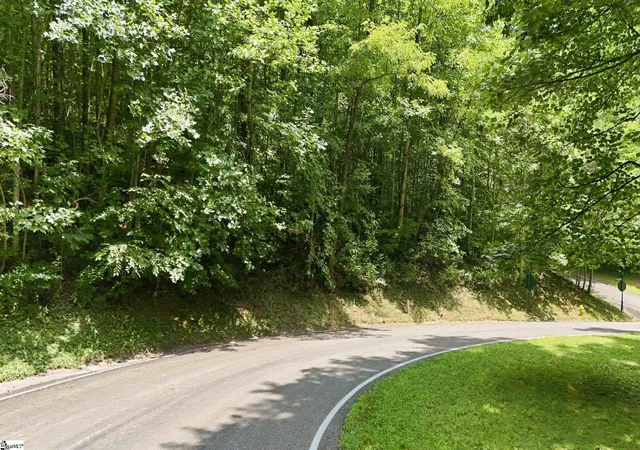Photo 3 of Land for sale at 164 Catnip Trl, Landrum, SC 29356 | MLS# 1602496 | Listing updated on 2026-08-31
