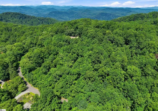 Photo 3 of Land for sale at 164 Catnip Trl, Landrum, SC 29356 | MLS# 1602496 | Listing updated on 2026-08-31