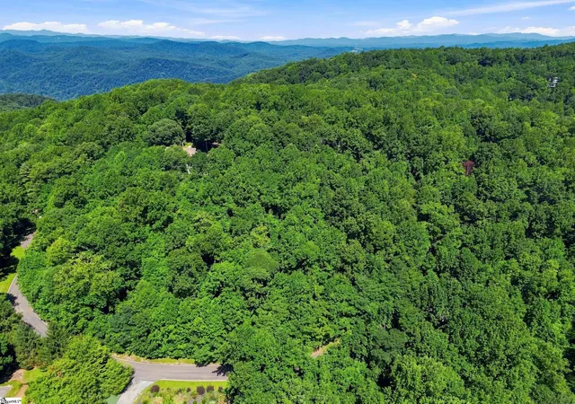 Photo 4 of Land for sale at 164 Catnip Trl, Landrum, SC 29356 | MLS# 1602496 | Listing updated on 2026-08-31