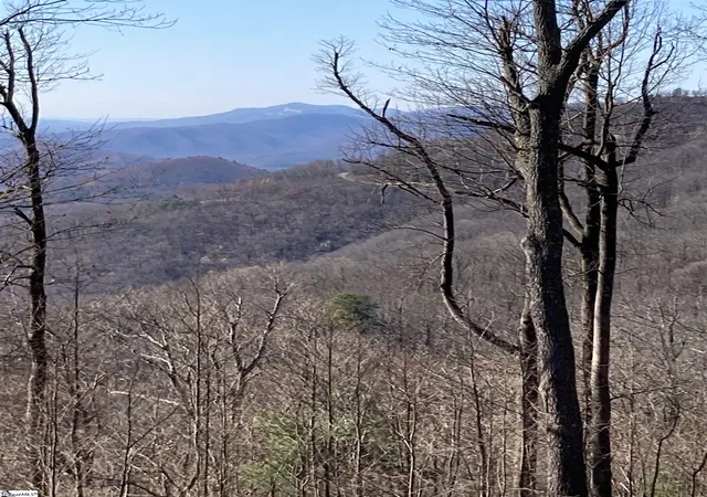 3rd image of Hidden Rock Way, Zirconia, NC 28790 | MLS# 1573021