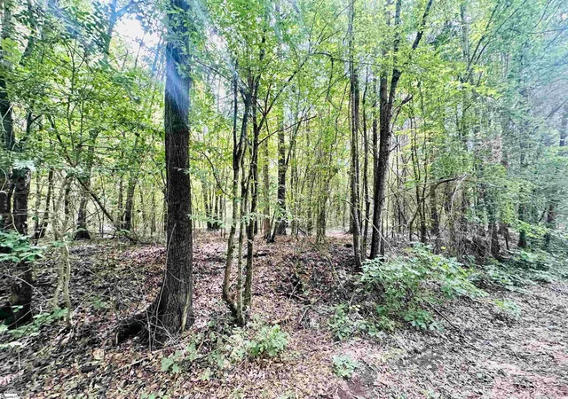 Photo 4 of House for sale at (Undisclosed), Laurens, SC 29360 | MLS# 1600291 | Listing updated on 2026-09-08