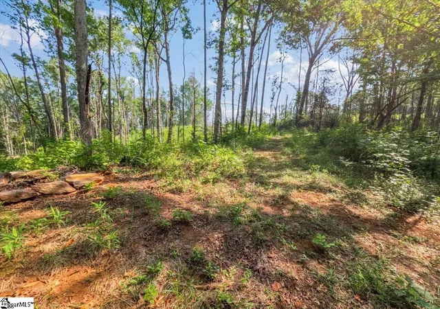 Photo 4 of Land for sale at The Bear Blvd, Tamassee, SC 29686 | MLS# 1601063 | Listing updated on 2026-08-29