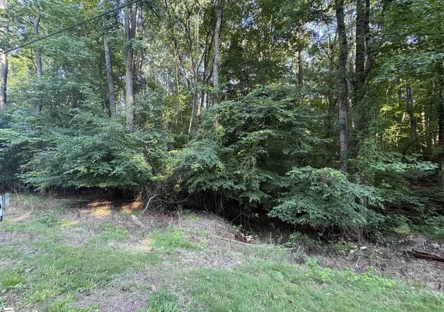 Land for sale at 8 Trey Ln, Ware Shoals, SC 29692 | MLS# 1600768