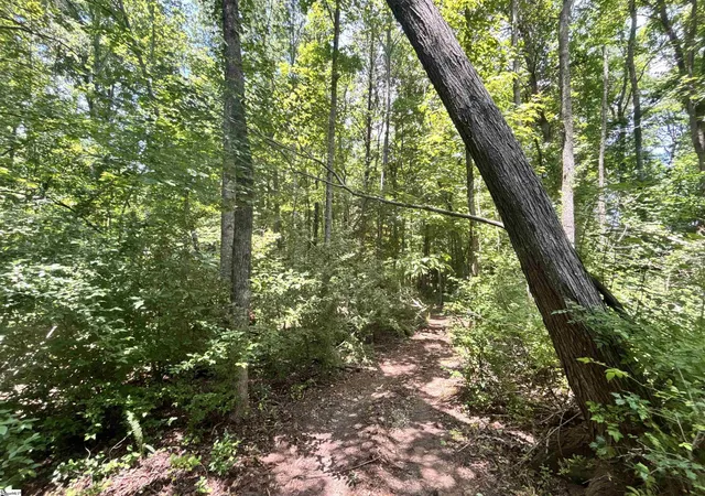 Homes for sale in Blacksburg, SC | 00 Borders Rd, Blacksburg, SC 29702 | MLS# 1594011