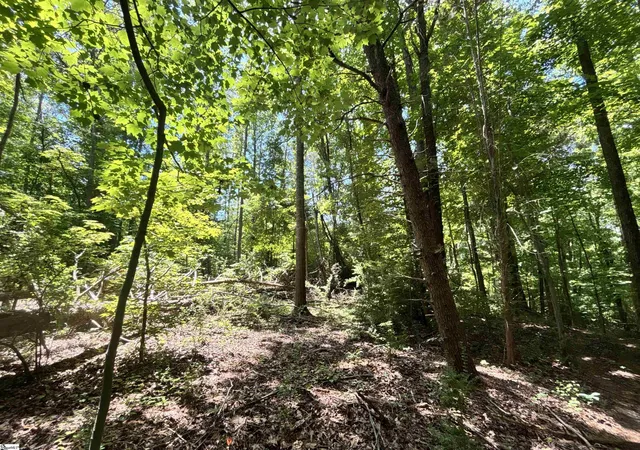 Homes for sale in Blacksburg, SC | 00 Borders Rd, Blacksburg, SC 29702 | MLS# 1594011