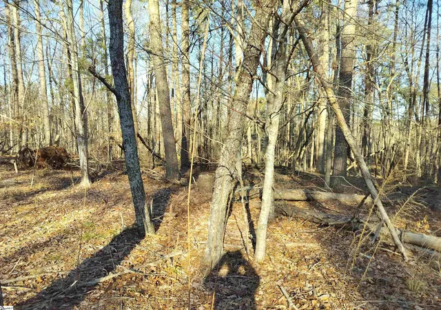Photo 2 of Land for sale at 343 Beech Dr, Westminster, SC 29693 | MLS# 1599714 | Listing updated on 2026-08-23
