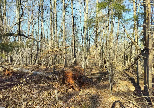 Photo 3 of Land for sale at 343 Beech Dr, Westminster, SC 29693 | MLS# 1599714 | Listing updated on 2026-08-23