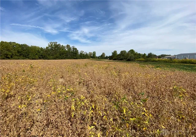 Homes for sale in Waynesville, OH | 00 Township Line Rd, Waynesville, OH 45068 | MLS# 944076