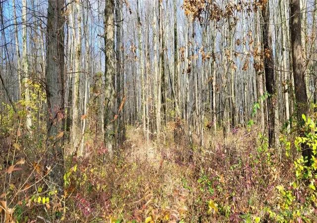 Photo 3 of Land for sale at 1670 Woodville Pike, Goshen, OH 45140 | MLS# 951061 | Listing updated on 2026-05-13