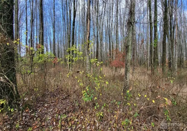 Photo 3 of Land for sale at 1670 Woodville Pike, Goshen, OH 45140 | MLS# 951061 | Listing updated on 2026-05-13