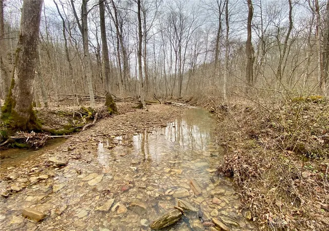 5th image of 20 Beech Fork Rd, Otway, OH 45657 | MLS# 953919