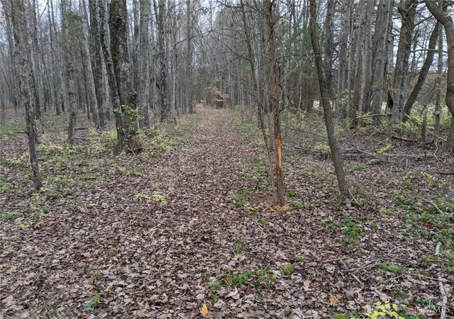5th image of 72-Acres Yankeetown, Hamersville, OH 45130 | MLS# 955021