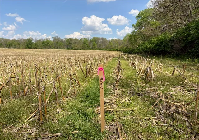 Homes for sale in New Carlisle, OH | Lot 4 Tipp Elizabeth Rd, New Carlisle, OH 45344 | MLS# 957894
