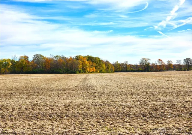 17th image of Tract 3 W Jackson Rd, Springfield, OH 45502 | MLS# 962792