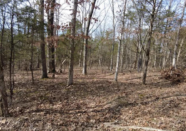 4th image of 1897 Chestnut Ridge Rd, West Union, OH 45693 | MLS# 965137