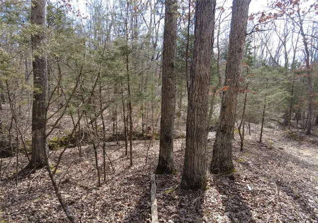 5th image of 1897 Chestnut Ridge Rd, West Union, OH 45693 | MLS# 965137