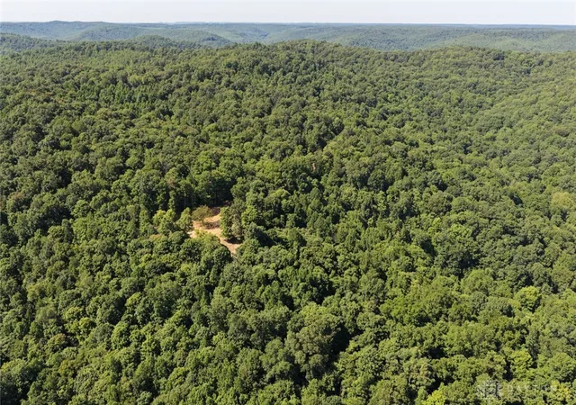 Photo 1 of Land for sale at 206 Thelma Ln, Blue Creek, OH 45616 | MLS# 965837 | Listing updated on 2026-08-04