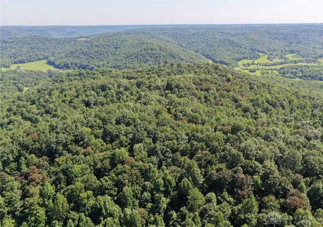 Photo 3 of Land for sale at 206 Thelma Ln, Blue Creek, OH 45616 | MLS# 965837 | Listing updated on 2026-08-04