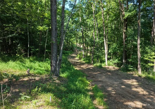 Photo 4 of Land for sale at 206 Thelma Ln, Blue Creek, OH 45616 | MLS# 965837 | Listing updated on 2026-08-04