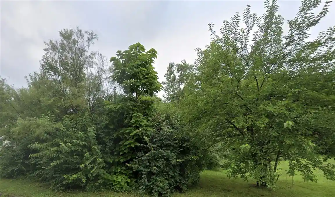 Photo 1 of Land for sale at 137 Chain Ave, Dayton, OH 45417 | MLS# 968244 | Listing updated on 2026-10-15