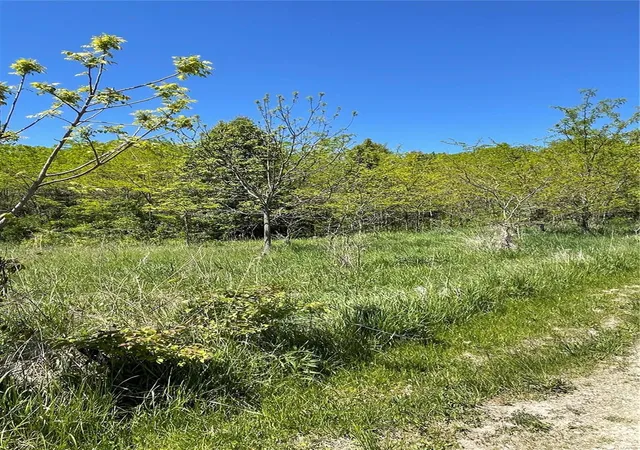 Photo 2 of Land for sale at 8966 Hwy 79, Louisiana, MO 63353 | MLS# 21011828 | Listing updated on 2024-12-31