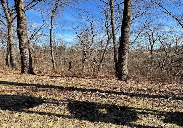 Photo 3 of Land for sale at 8966 Hwy 79, Louisiana, MO 63353 | MLS# 21011828 | Listing updated on 2024-12-31