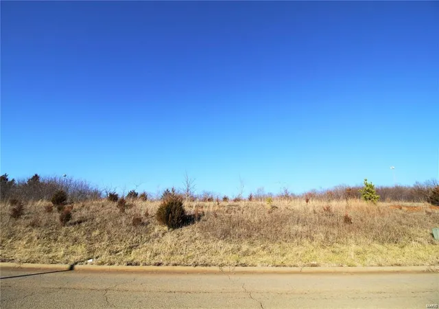 5th image of 0 Memorial Dr, Potosi, MO 63664 | MLS# 22003931