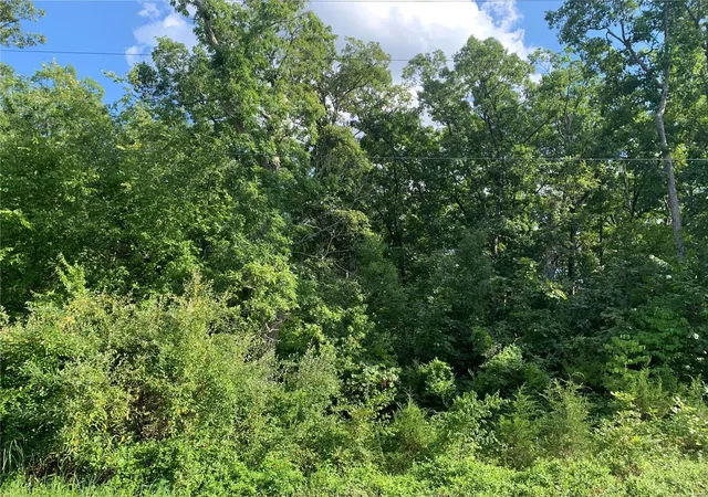 Photo 5 of Land for sale at 0 Hillcrest Dr, Owensville, MO 65066 | MLS# 22054309 | Listing updated on 2024-12-09