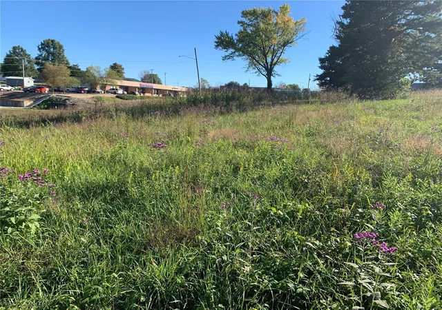 Photo 7 of Sale Pending at 705 E Hwy 28, Owensville, MO 65066 | MLS# 22063623 | Listing updated on 2025-03-12