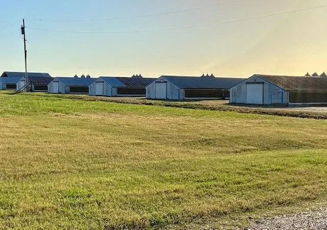 Photo 1 of Sale Pending at 10253 Hwy Tt, Dudley, MO 63936 | MLS# 22072874 | Listing updated on 2024-11-11