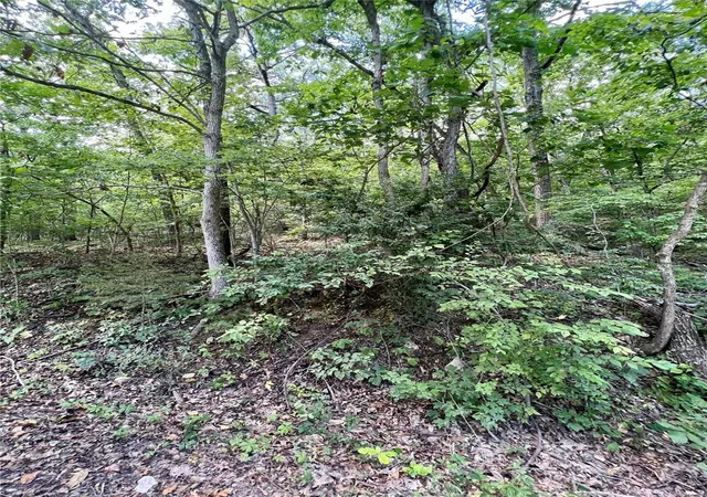 Photo 1 of Land for sale at 2269 W Tomahawk Trl, De Soto, MO 63020 | MLS# 23039633 | Listing updated on 2024-12-04