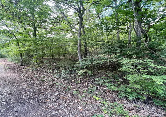 Photo 2 of Land for sale at 2269 W Tomahawk Trl, De Soto, MO 63020 | MLS# 23039633 | Listing updated on 2024-12-04