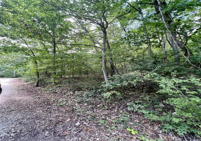 Photo 3 of Land for sale at 2269 W Tomahawk Trl, De Soto, MO 63020 | MLS# 23039633 | Listing updated on 2024-12-04