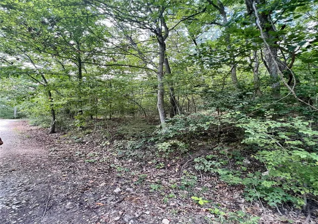 Photo 3 of Land for sale at 2269 W Tomahawk Trl, De Soto, MO 63020 | MLS# 23039633 | Listing updated on 2024-12-04