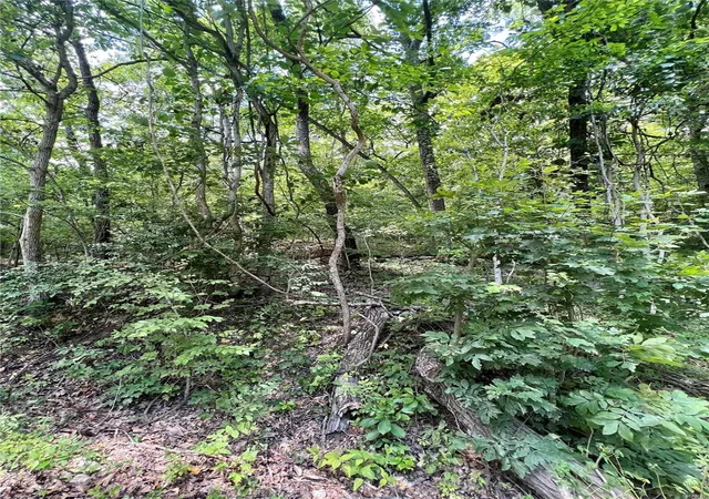Photo 4 of Land for sale at 2269 W Tomahawk Trl, De Soto, MO 63020 | MLS# 23039633 | Listing updated on 2024-12-04