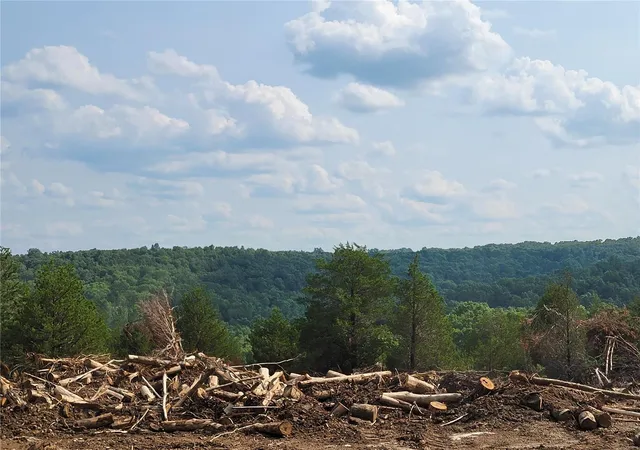 3rd image of 12422 State Road Cc, Festus, MO 63028 | MLS# 23046758