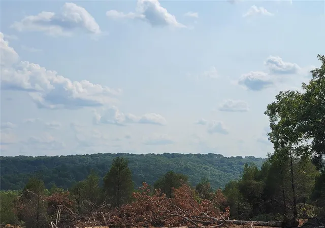 2nd image of 0 11 Ac State Road Cc, Festus, MO 63028 | MLS# 23046765